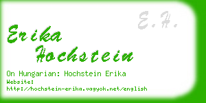 erika hochstein business card